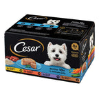 Cesar Senior 10+ In Delicate Jelly Wet Dog Food 150g x 8 Pack