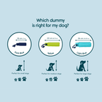 Pale blue background with three Coachi Training Dummy dog toys, with measurements below for each and what size dog they are suitable for.