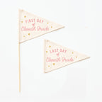 First & Last Day of Eleventh Grade Flags {Pink}