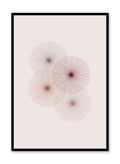 Minimalist design poster by Opposite Wall with Geometric Bouquet abstract graphic design of three floral circles