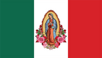 HOOD COVER - MEXICO & GUADALUPE NEW - TRUECOLOR WHOLESALE