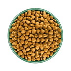 White background with a green bowl pictured filled with dog food kibbles.