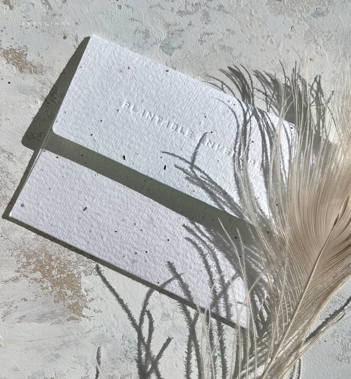 Kindness Thank You Card | Seedlings
