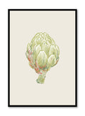 Line Drawn Artichoke, Poster