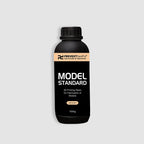 Model Standard