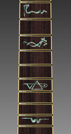 close up image of a guitar neck against a grey background. there is a fret protector on the guitar. It is a dark wood color with blue and grey multi-color symbols on nearly every other fret. One fret has the steve vai logo on it. The steve vai logo makes the word "vai" with an upside down triangle, a right side up one, and a line going across the triangles with a curl at the end next to the triangle that is upright.