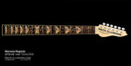 close up image of a guitar neck against a black background. there is a fret protector on the guitar. It is black with light brown symbols all over it. Every other fret has a brown, black and greenish triangle on it with a white steve vai logo in the center of it. The steve vai logo makes the word "vai" with an upside down triangle, a right side up one, and a line going across the triangles with a curl at the end next to the triangle that is upright.