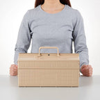 Steel Cantilever Toolbox ST-350. | Toyo