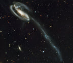 Tadpole Galaxy (Arp 188 / UGC 10214) – Hubble Space Telescope Image