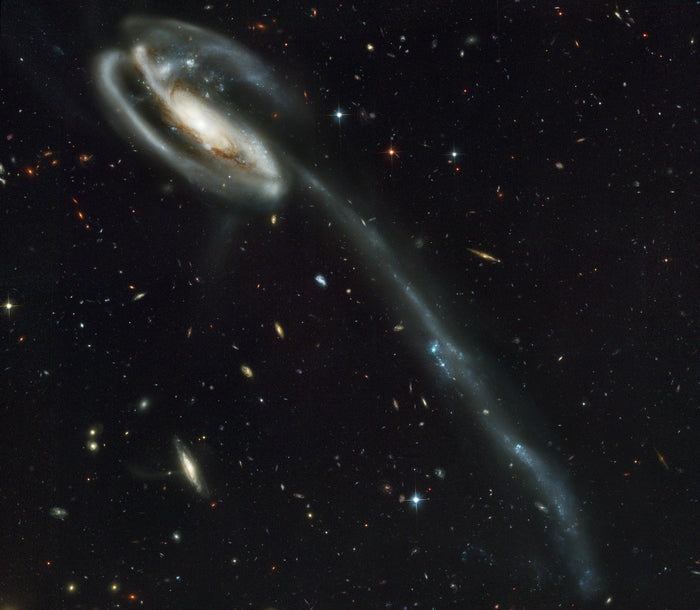 Tadpole Galaxy (Arp 188 / UGC 10214) – Hubble Space Telescope Image