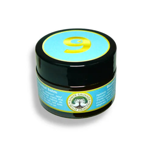 Wild Health - Healing Balm